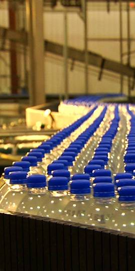 9001cc金沙以诚为本(中国)有限公司官网